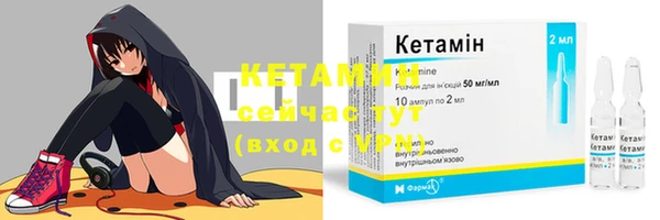 прущие крисы Лабытнанги
