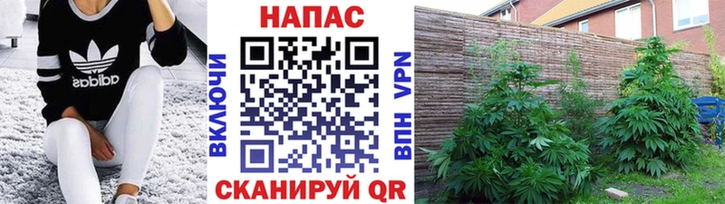Бошки Шишки LSD WEED Егорьевск